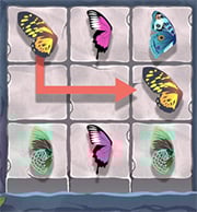 Butterfly Kyodai HD