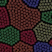 Coloruid