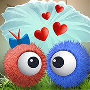 Fluffy Story