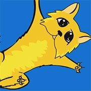 Kitten Cannon