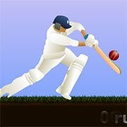 Little Master Cricket