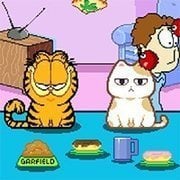 Nom Cat