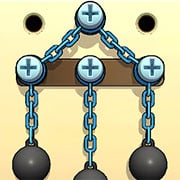 Nuts & Bolts Puzzle