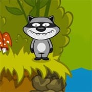 Raccoon’s Towel