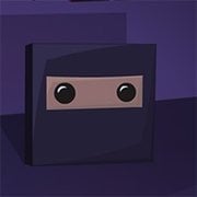 Super Ninja Block